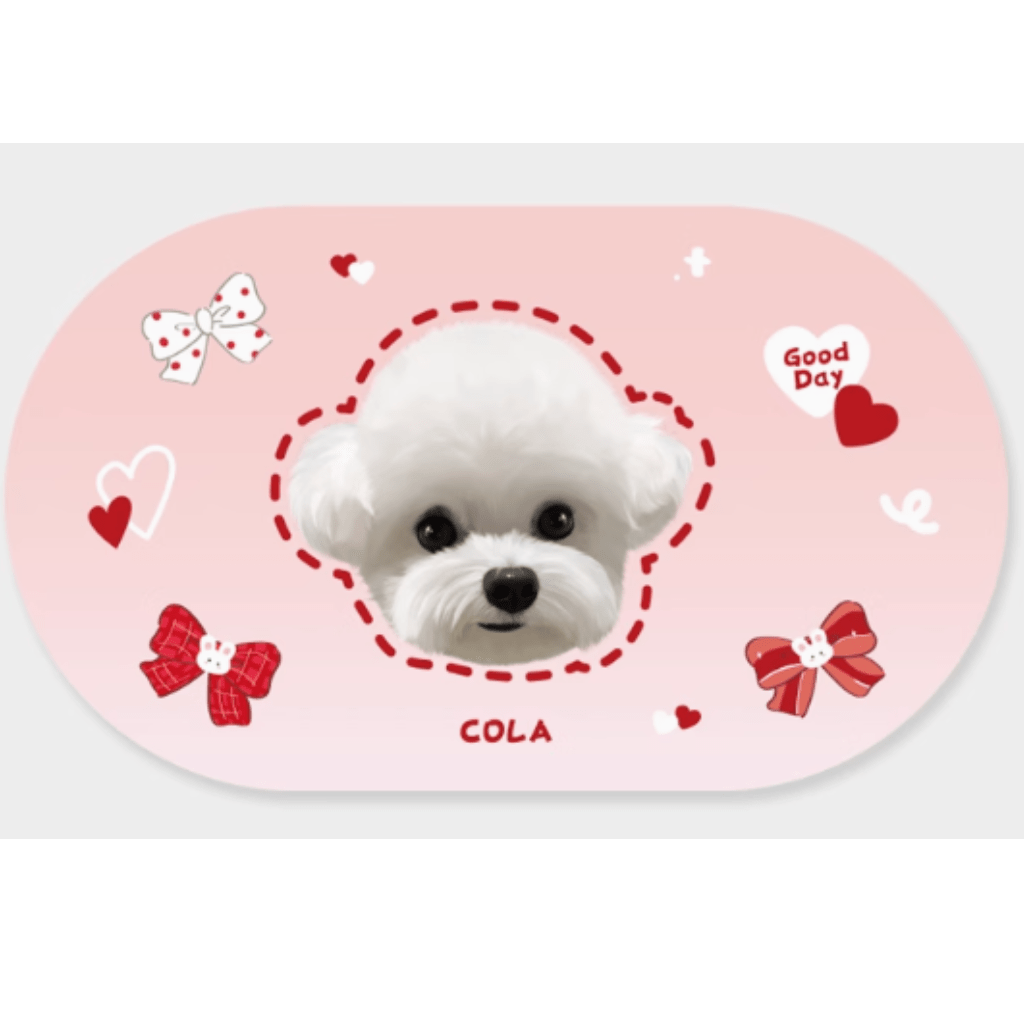 Custom pet absorbent waterproof placemat diatom mud pvc imitation leather quick drying