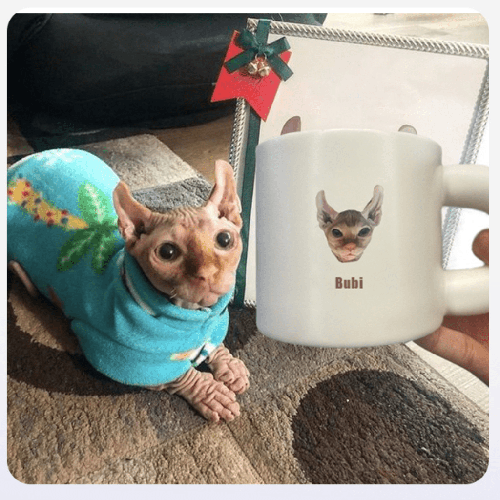 Custom Pet Illustration Mug Ceramic