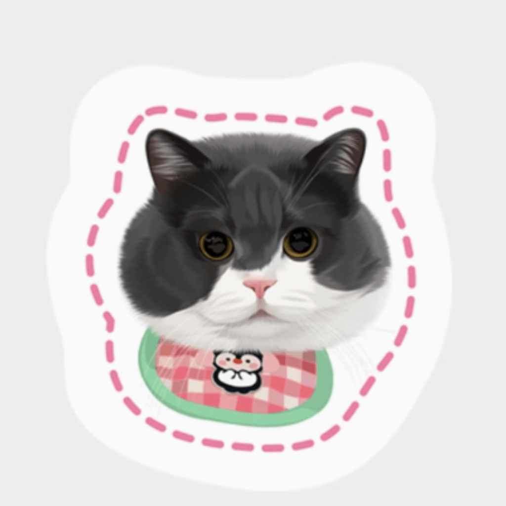 Custom pet illustration pillow