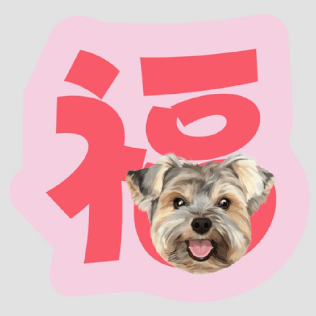 Custom pet illustration pillow
