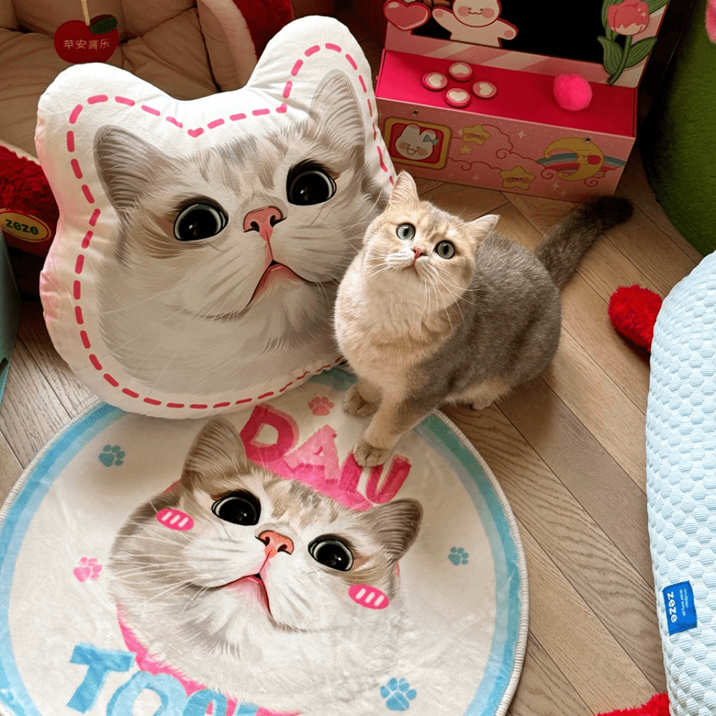 Custom pet illustration pillow