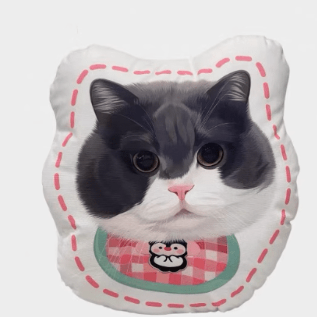 Custom pet illustration pillow