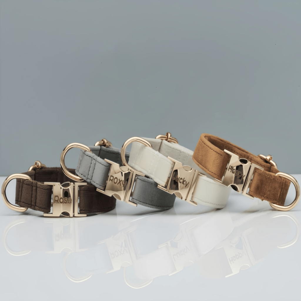 Customized pet collar to prevent loss