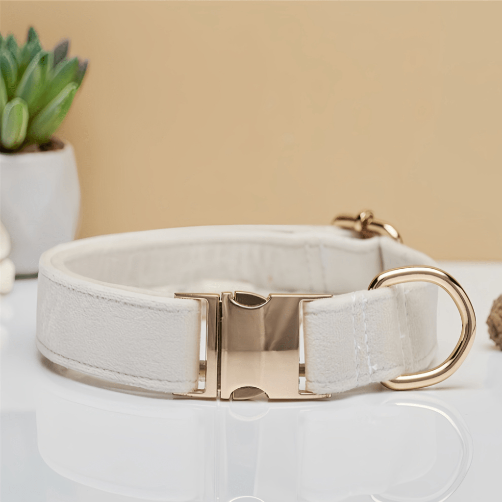 Customized pet collar to prevent loss